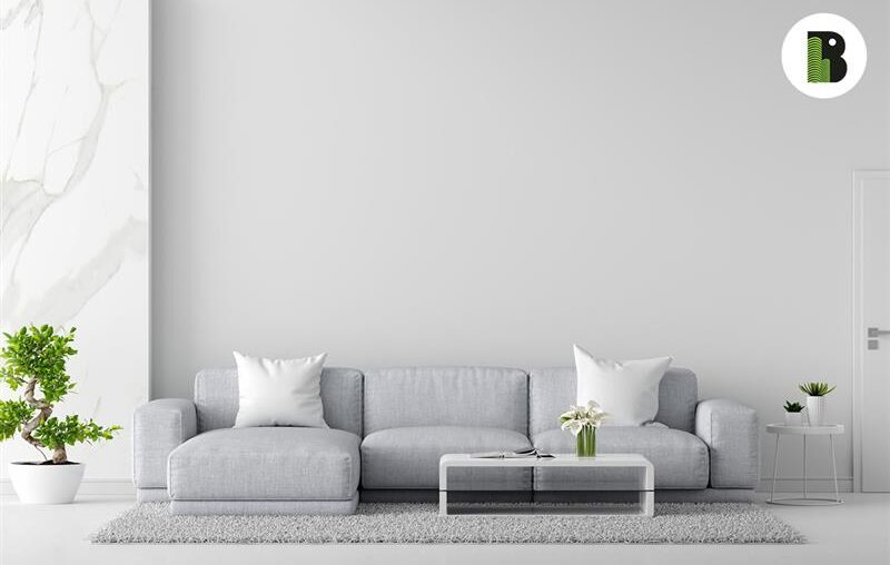 Choose the Right Sofa for Your Living Room | Bonsai Developers