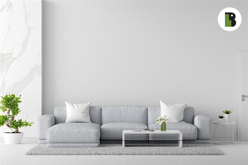 Choose the Right Sofa for Your Living Room | Bonsai Developers